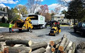 Best Leaf Removal  in Lewiston, CA