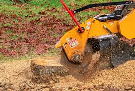 Best Aeration Services  in Lewiston, CA
